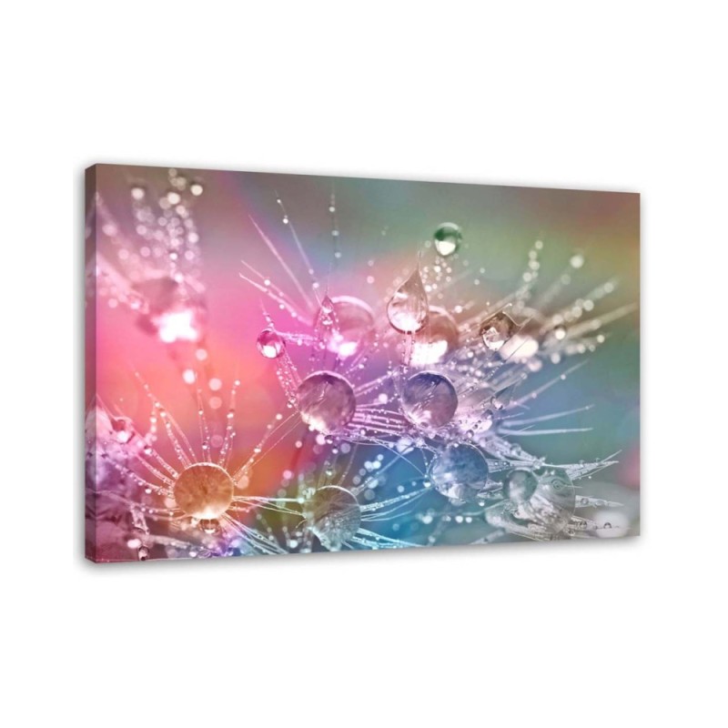 Canvas painting - Water drops on a dewdrop | FEEBY