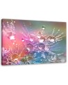 Canvas painting - Water drops on a dewdrop | FEEBY