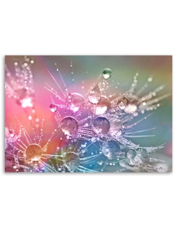 Canvas painting - Water drops on a dewdrop | FEEBY