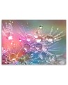 Canvas painting - Water drops on a dewdrop | FEEBY