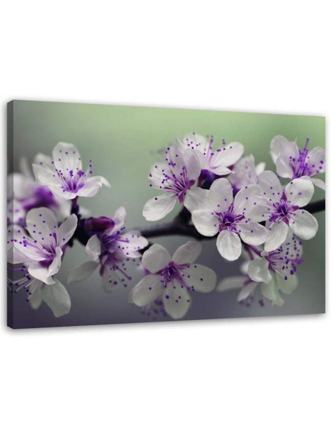 Canvas print Flowers on a tree