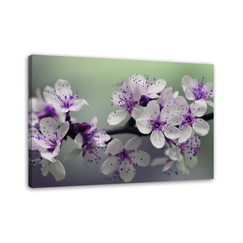 Modern Canvas painting for living room - Apple blossoms | FEEBY