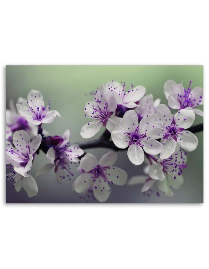 Modern Canvas painting for living room - Apple blossoms | FEEBY
