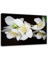 Modern Canvas painting for living room - Blooming jasmine | FEEBY