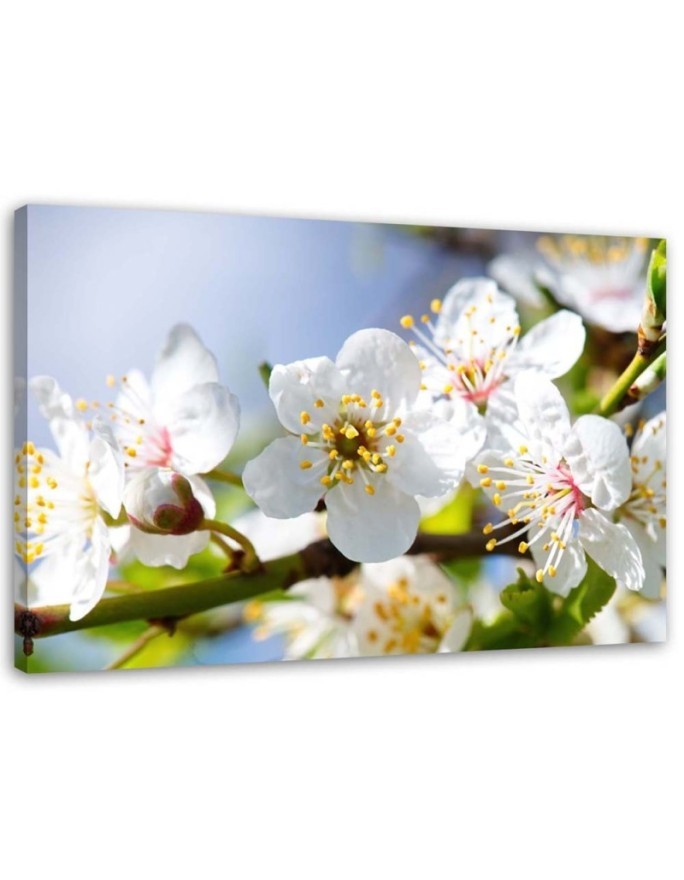 Modern wall art painting - Apple blossoms | FEEBY