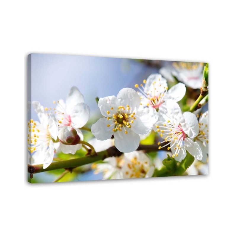 Modern wall art painting - Apple blossoms | FEEBY