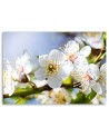 Modern wall art painting - Apple blossoms | FEEBY