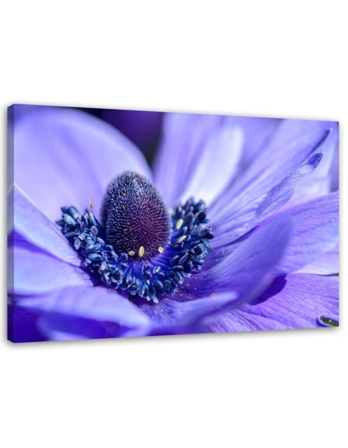 Canvas print for bedroom - Purple flower | FEEBY