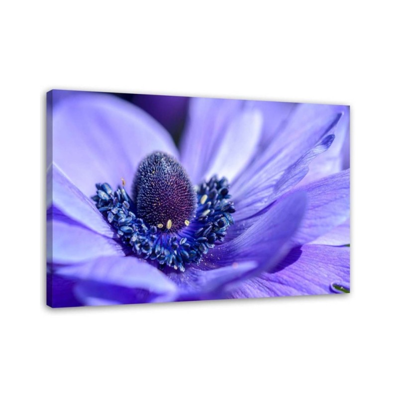 Canvas print for bedroom - Purple flower | FEEBY
