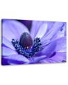 Canvas print for bedroom - Purple flower | FEEBY