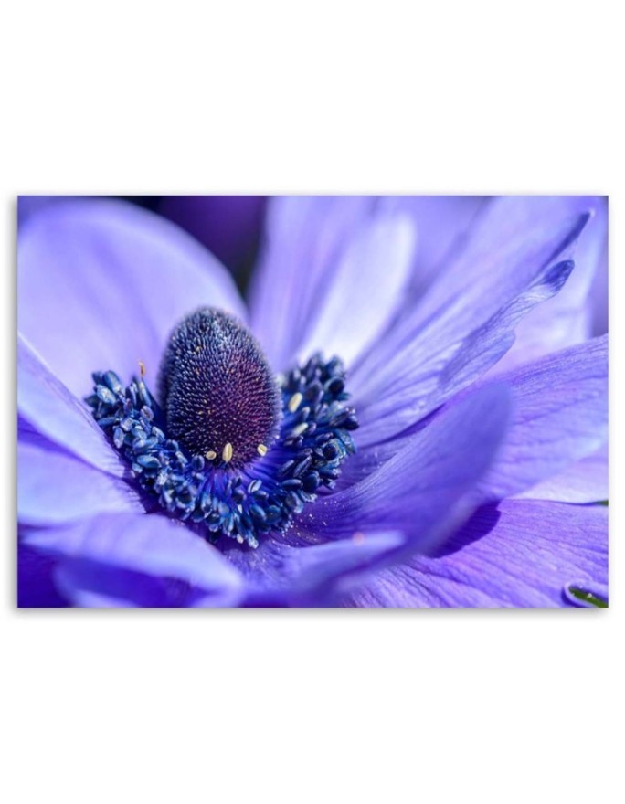 Canvas print for bedroom - Purple flower | FEEBY