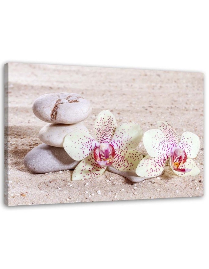 Canvas print Orchid and...