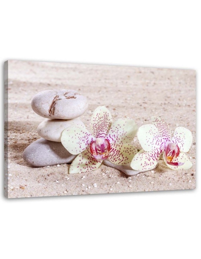 Canvas print - Orchid and stones on sand. Buy now| | FEEBY