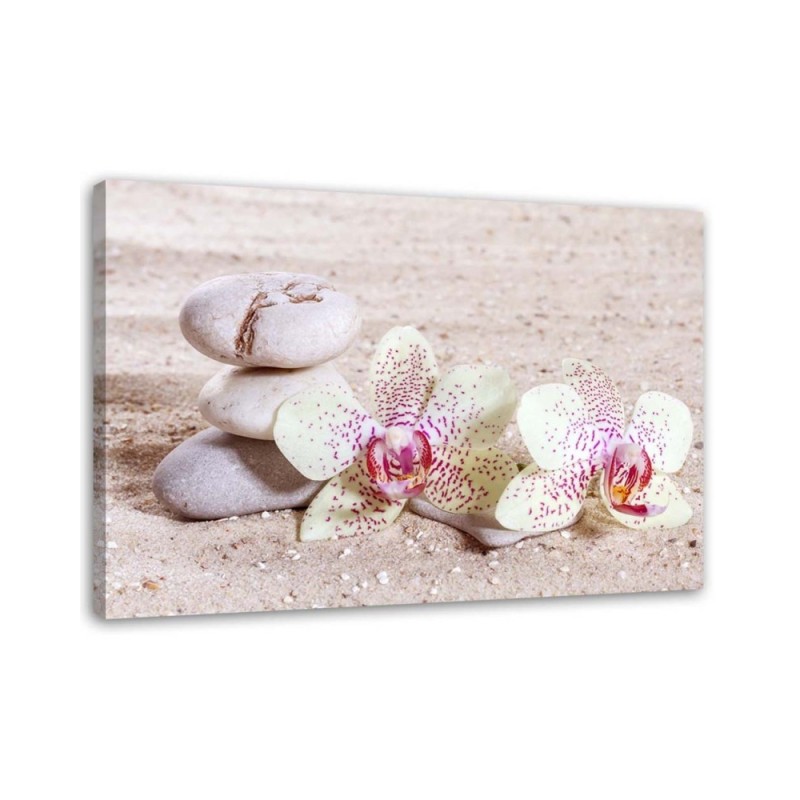 Canvas print - Orchid and stones on sand. Buy now| | FEEBY
