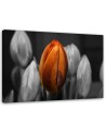 Orange tulip - Canvas print for the living room | FEEBY