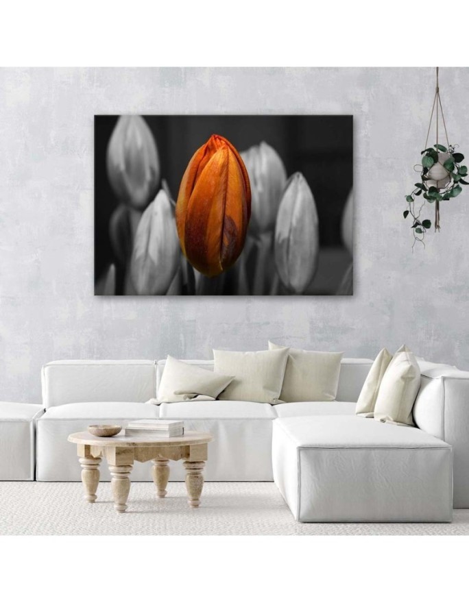 Orange tulip - Canvas print for the living room | FEEBY