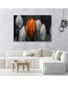 Orange tulip - Canvas print for the living room | FEEBY