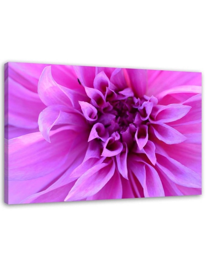 Canvas print Purple flower