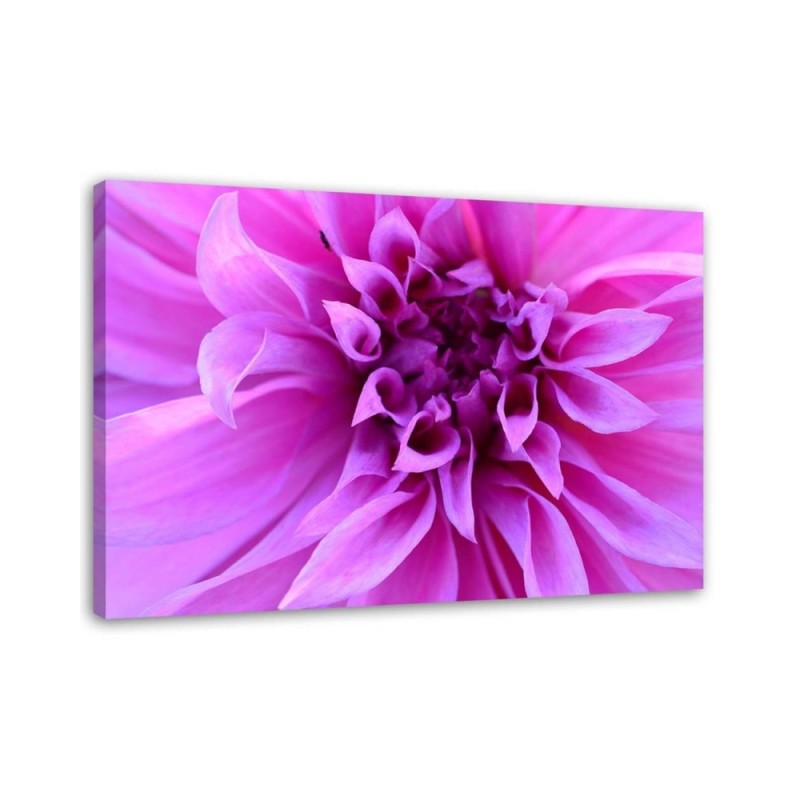 Purple flower - Canvas print | FEEBY