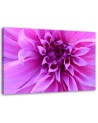Purple flower - Canvas print | FEEBY