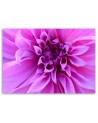 Purple flower - Canvas print | FEEBY