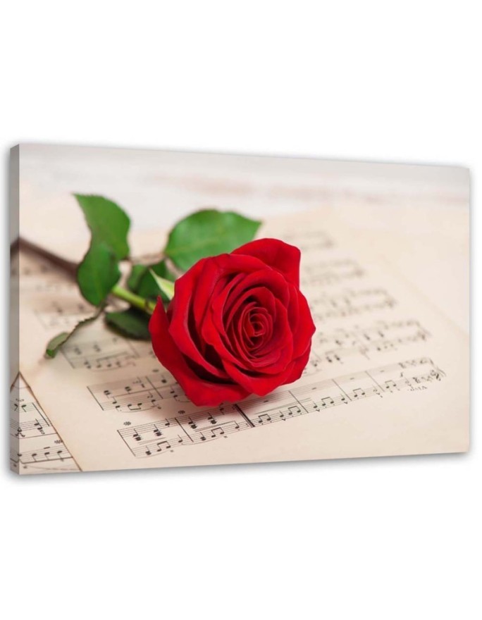 Rose on a note - Canvas print | FEEBY