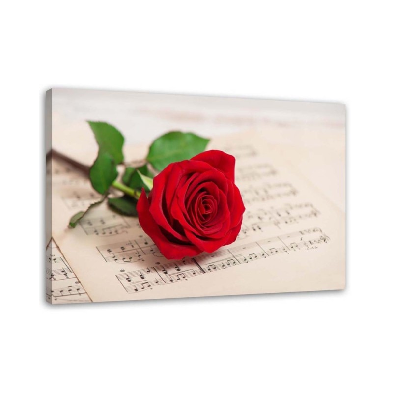 Rose on a note - Canvas print | FEEBY