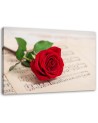 Rose on a note - Canvas print | FEEBY