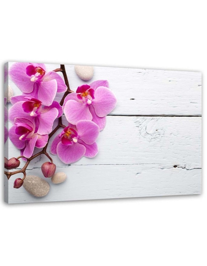 Canvas print Pink orchid...