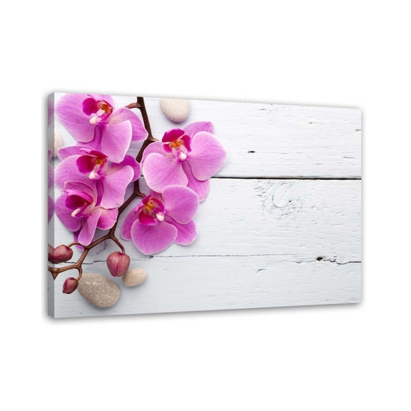 Pink orchid on boards - Canvas print. Buy now| | FEEBY