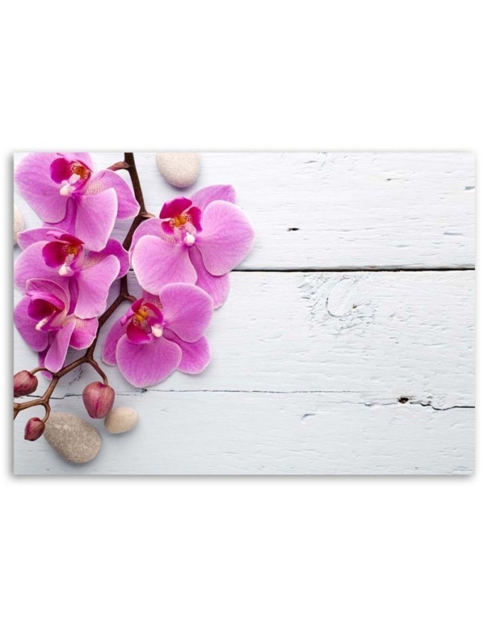 Pink orchid on boards - Canvas print. Buy now| | FEEBY