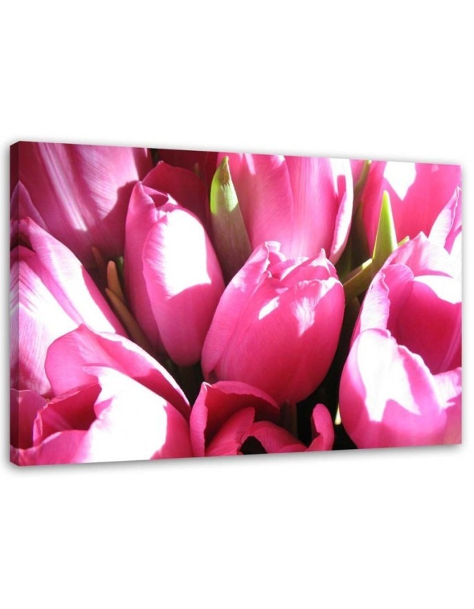 Pink tulip bouquet - Canvas print | FEEBY