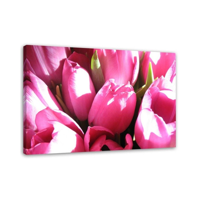Pink tulip bouquet - Canvas print | FEEBY