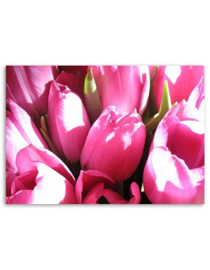 Pink tulip bouquet - Canvas print | FEEBY