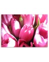 Pink tulip bouquet - Canvas print | FEEBY