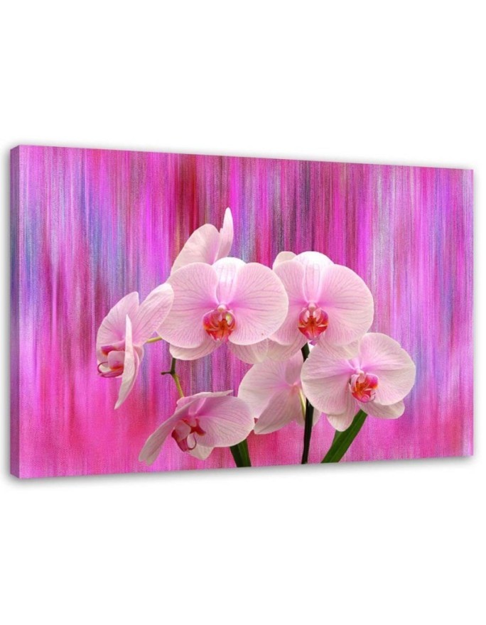 Orchids in purple and pink - Pictures on Canvas for the living room | FEEBY