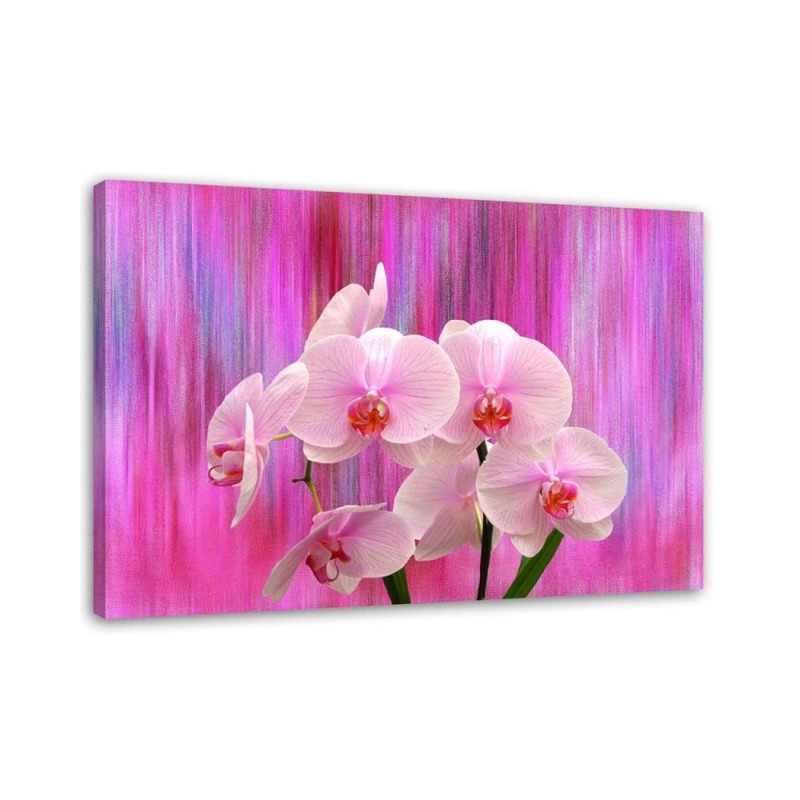 Orchids in purple and pink - Pictures on Canvas for the living room | FEEBY