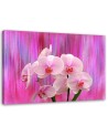 Orchids in purple and pink - Pictures on Canvas for the living room | FEEBY