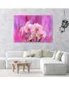 Orchids in purple and pink - Pictures on Canvas for the living room | FEEBY