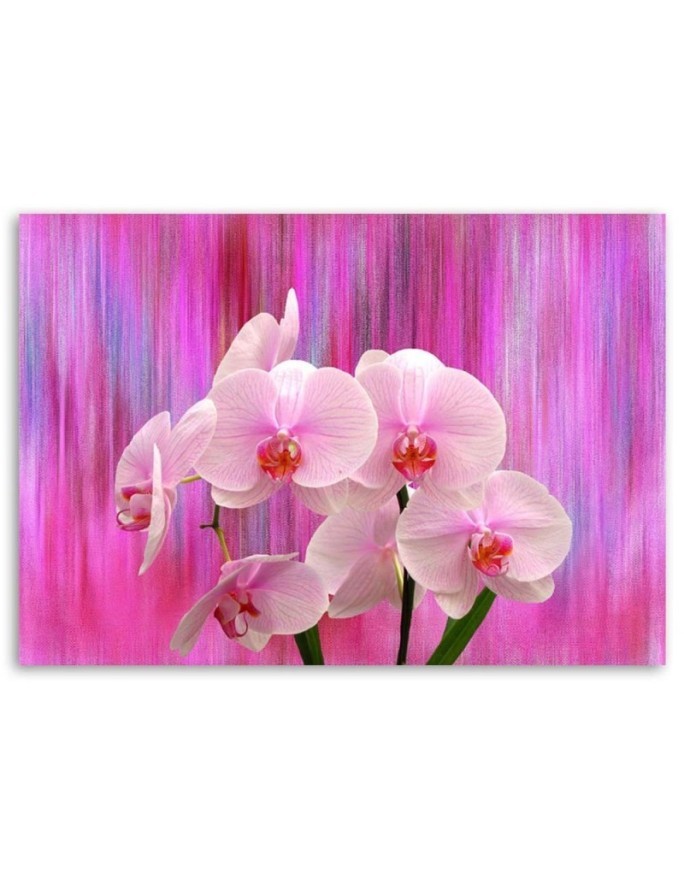 Orchids in purple and pink - Pictures on Canvas for the living room | FEEBY