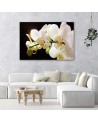 White orchids flowers - Pictures on canvas for the living room | FEEBY