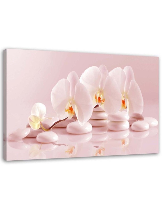 Canvas print Zen orchids in...