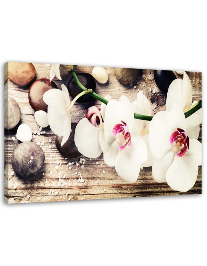 Canvas print White Zen orchids