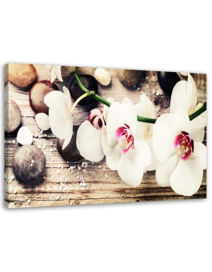 Canvas wall art painting - White zen orchids | FEEBY