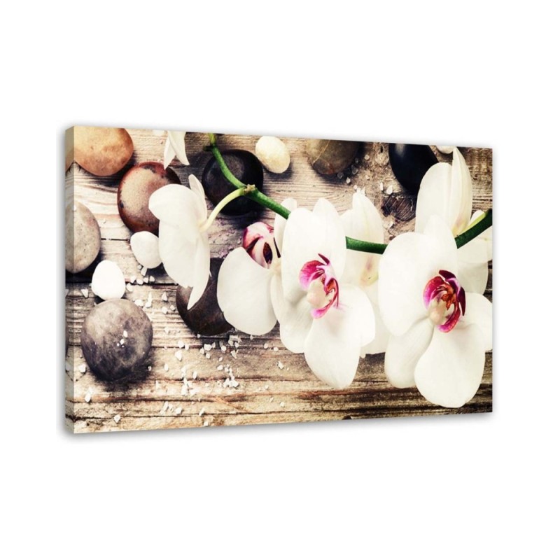 Canvas wall art painting - White zen orchids | FEEBY