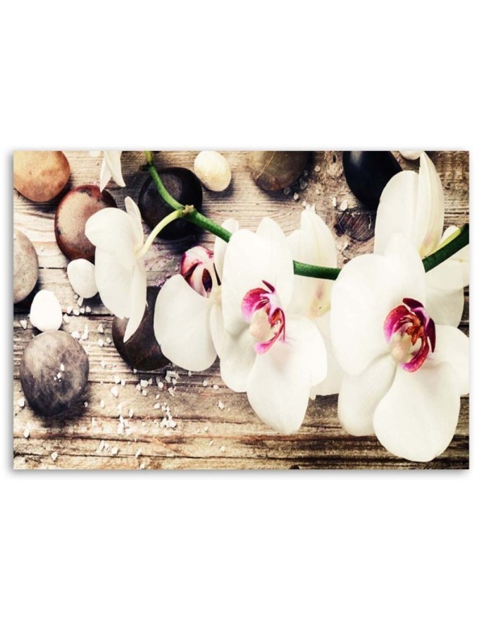 Canvas wall art painting - White zen orchids | FEEBY