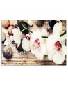 Canvas wall art painting - White zen orchids | FEEBY