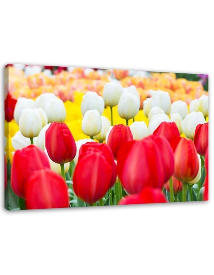 Modern Canvas painting for bedroom - Tulips in a meadow | FEEBY
