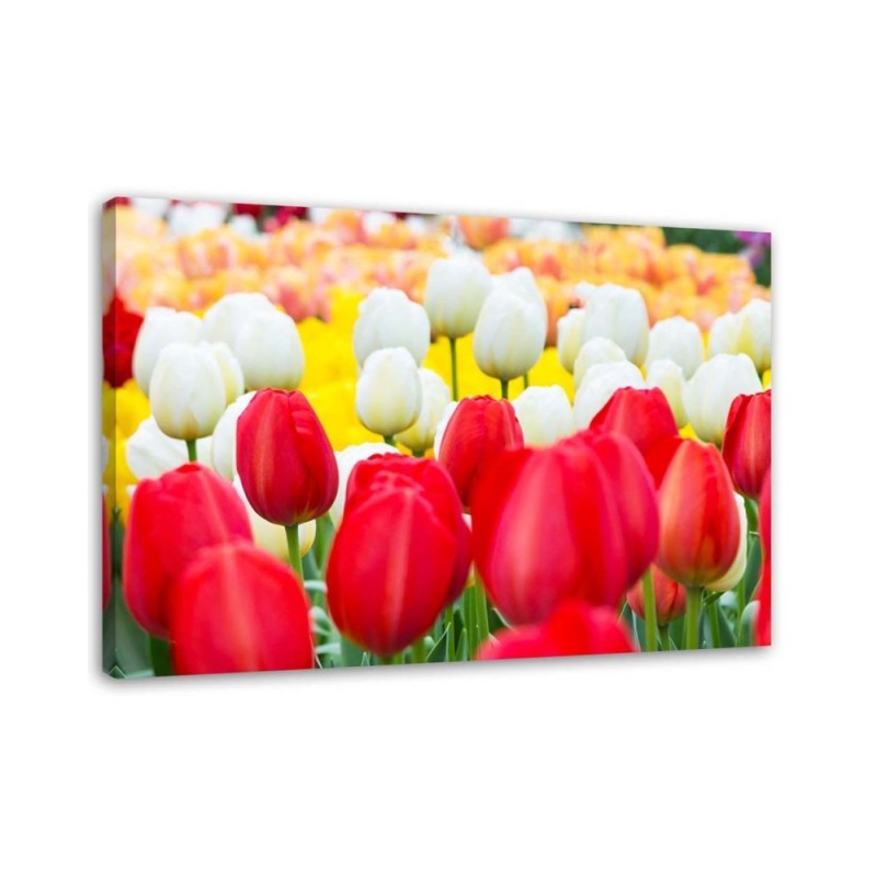 Modern Canvas painting for bedroom - Tulips in a meadow | FEEBY
