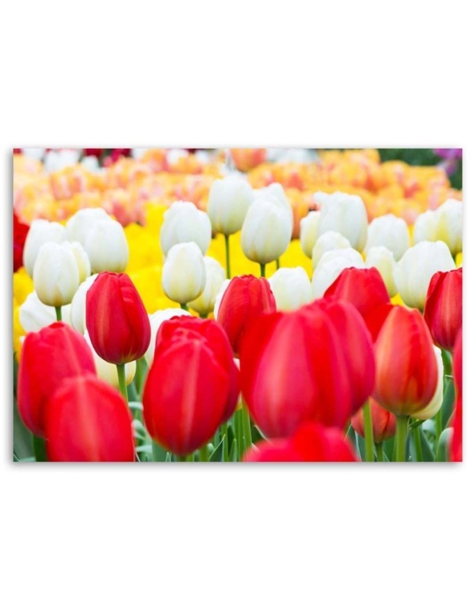 Modern Canvas painting for bedroom - Tulips in a meadow | FEEBY